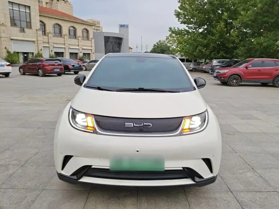 BYD Dolphin