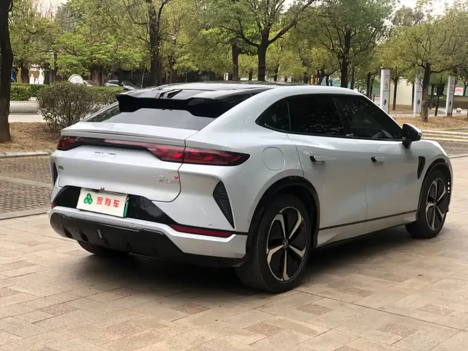 BYD L EV