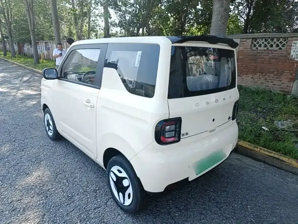 Galaxy Panda