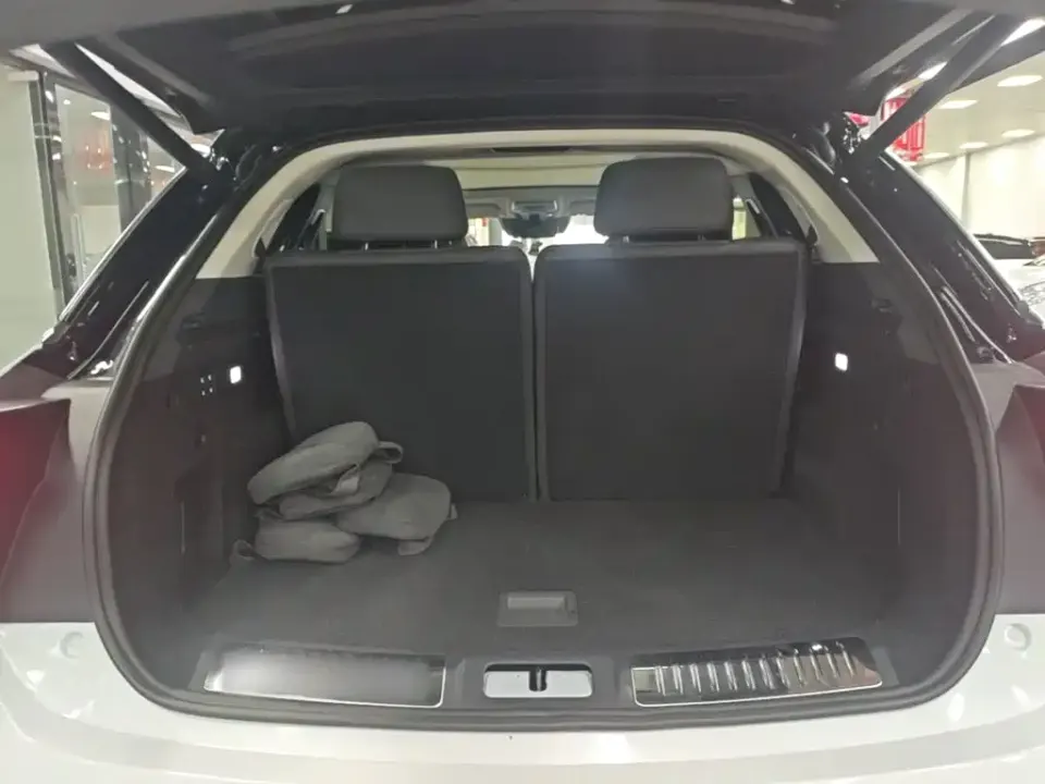 Hongqi Hongqi E-HS9