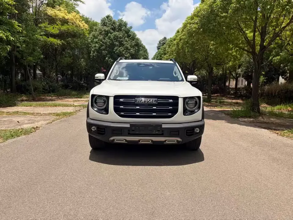 Haval Big Dog
