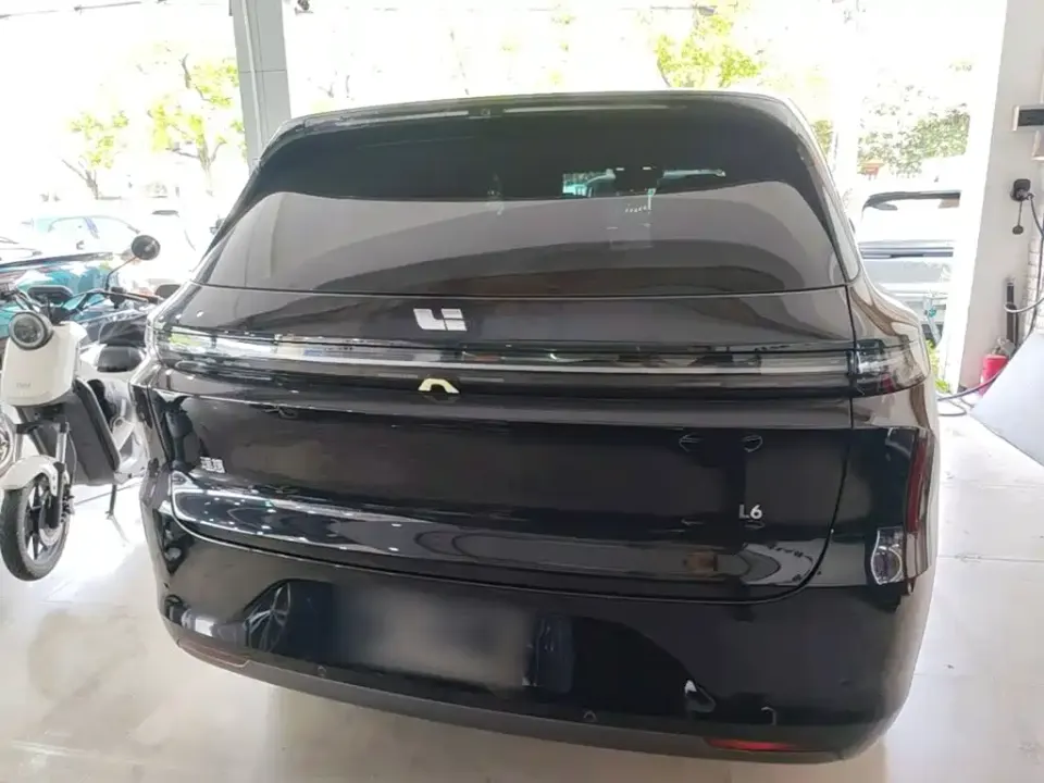 Li Li L6