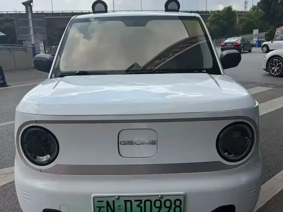 Galaxy Panda