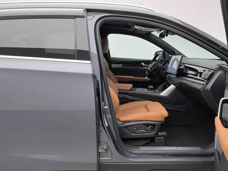 BYD Tang New Energy