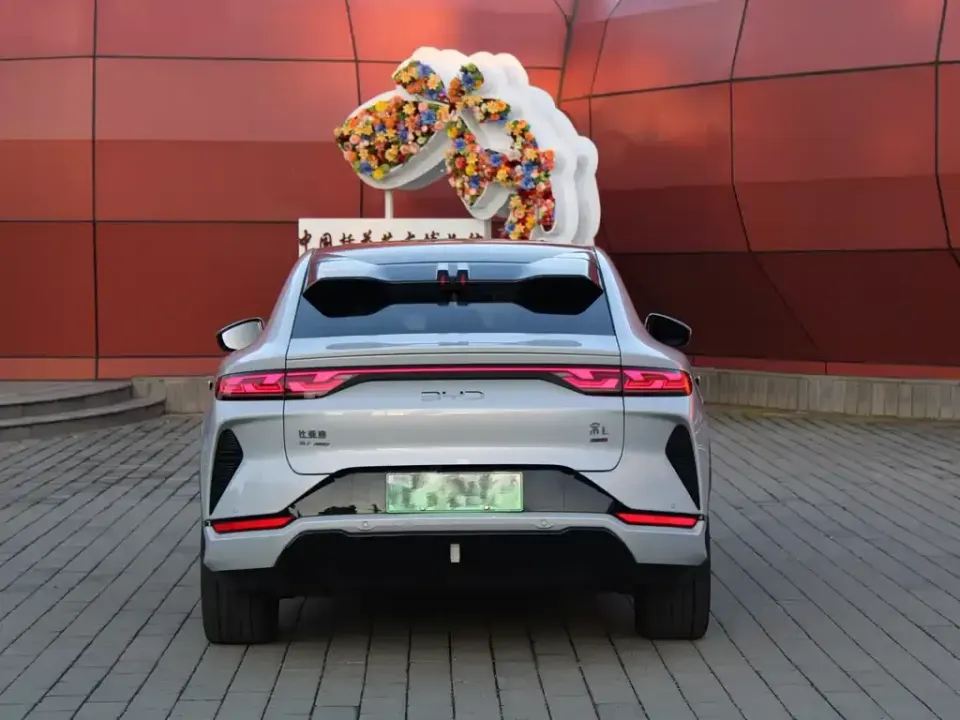 BYD L EV