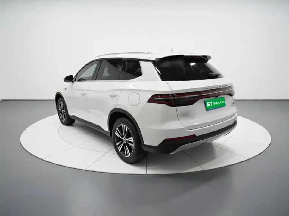 BYD Pro