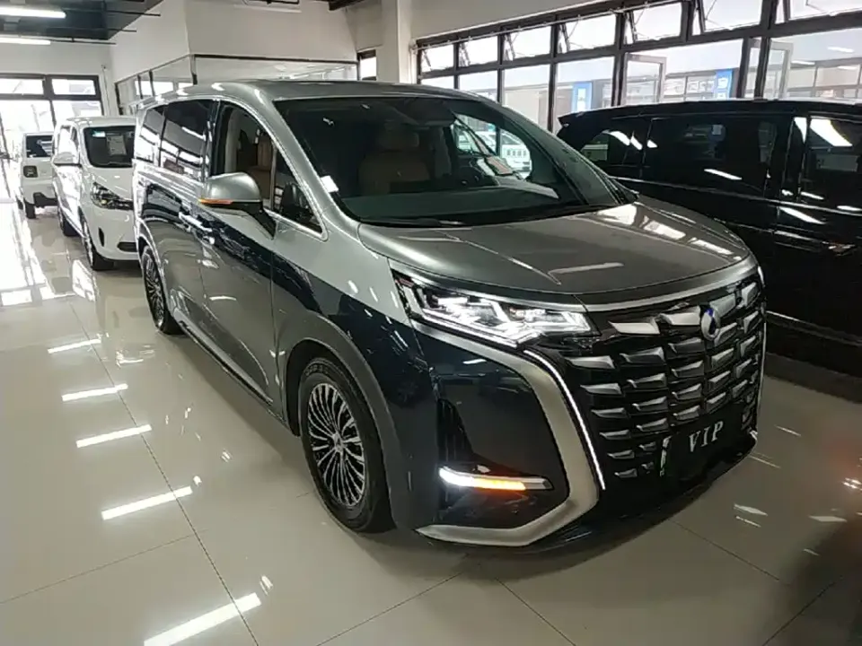 Denza Denza D9