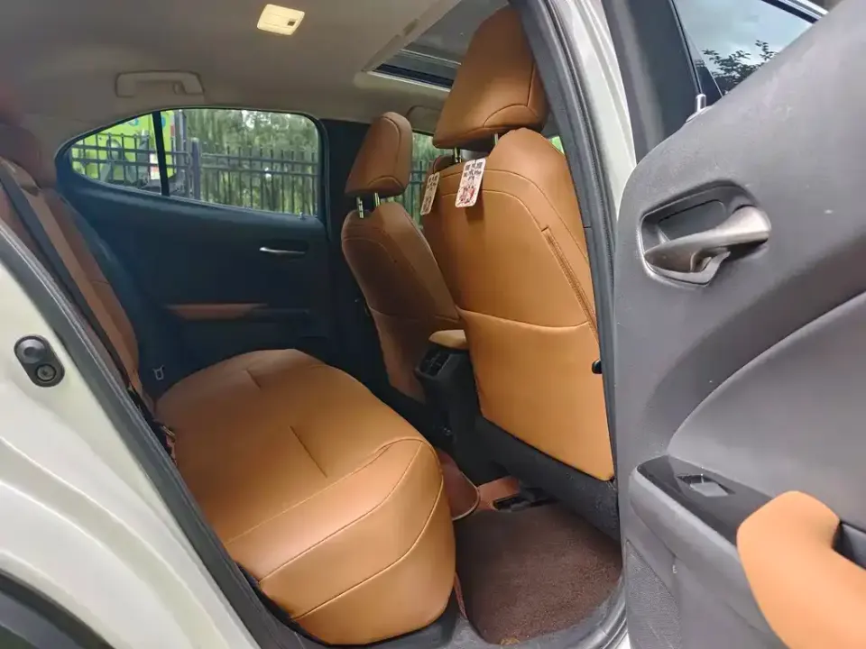 Lexus UX New Energy
