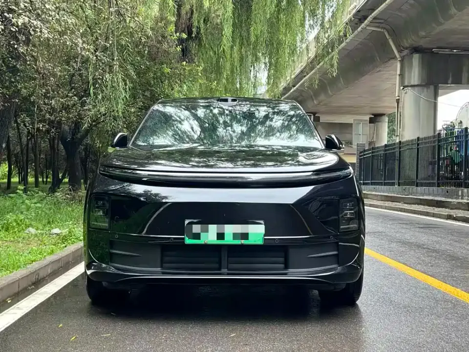Li Li L6