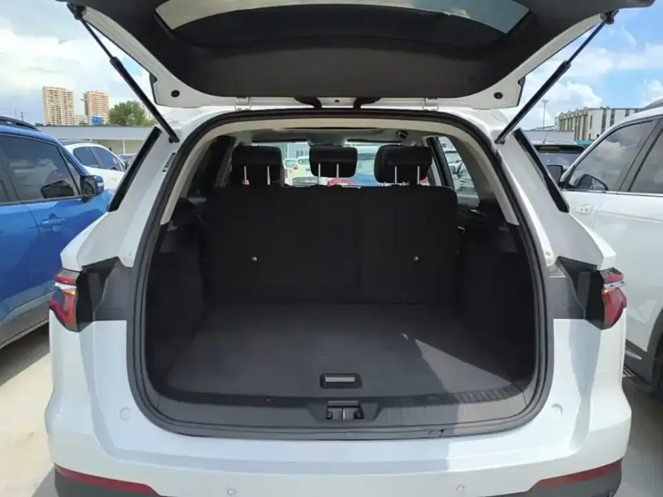 BYD Pro