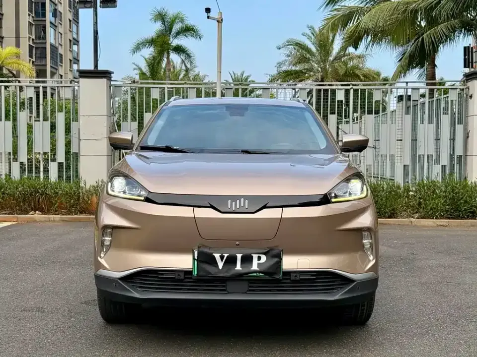 WM Motor EX5