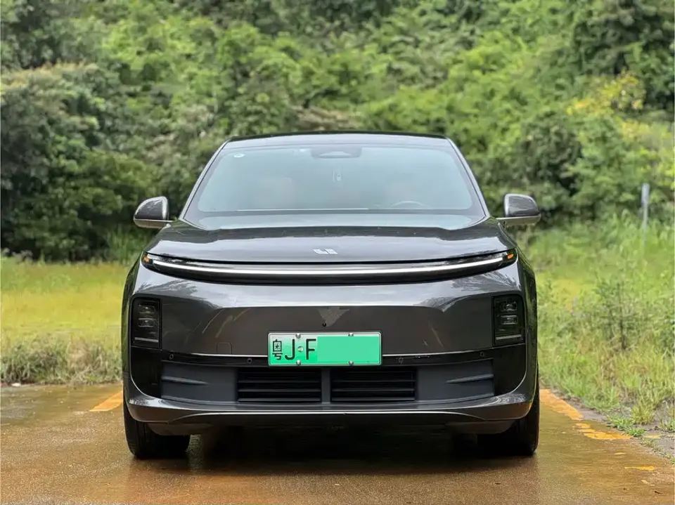 Li Li L6