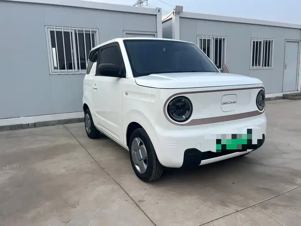 Galaxy Panda