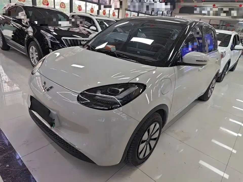 Wuling Bingo