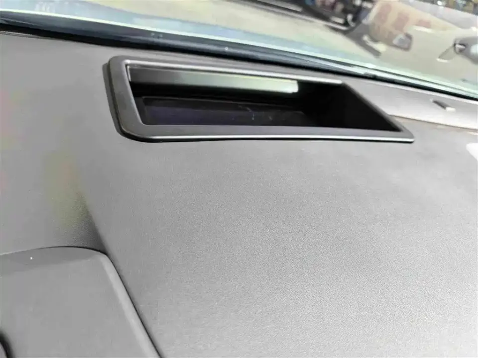Buick Electra Encasa