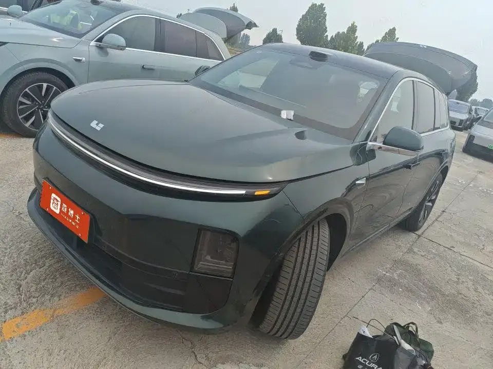 Li Li L6
