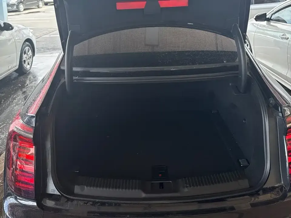 Hongqi Hongqi H9