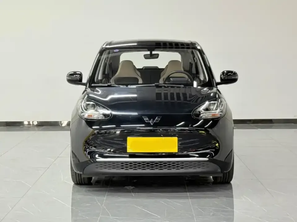 Wuling Bingo