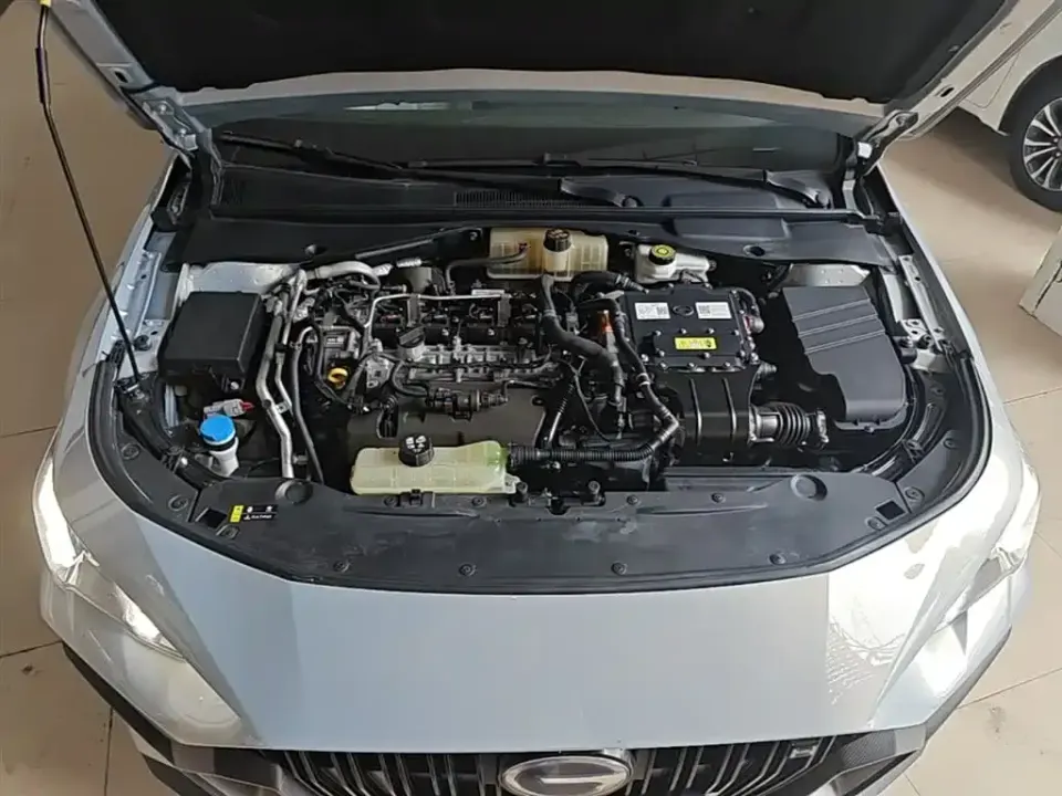 GAC Shadow Leopard