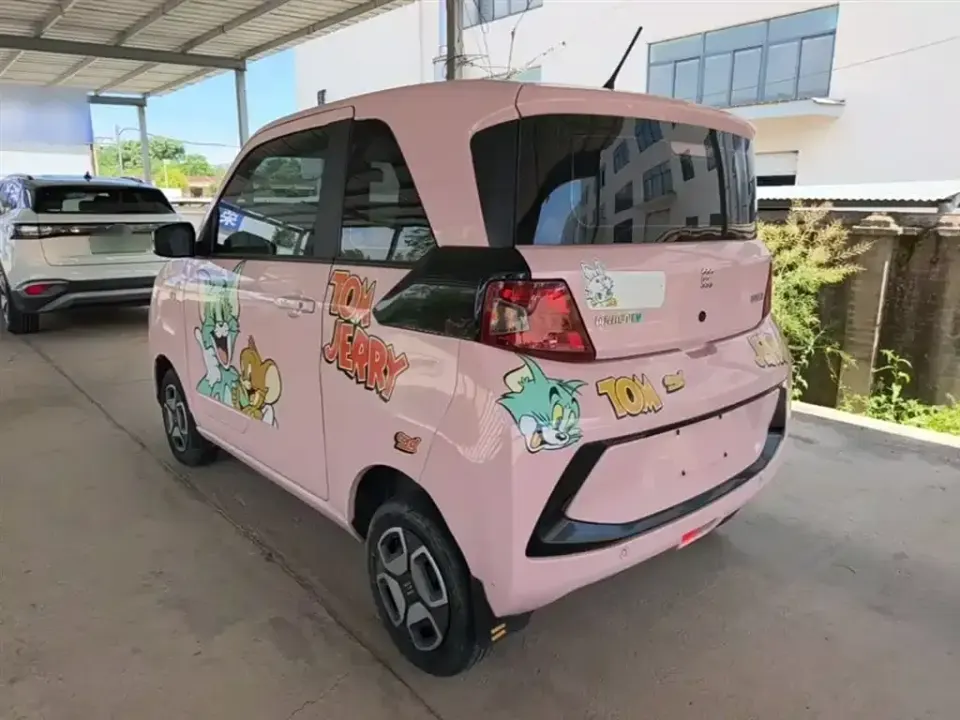 Fengguang Fengguang MINIEV