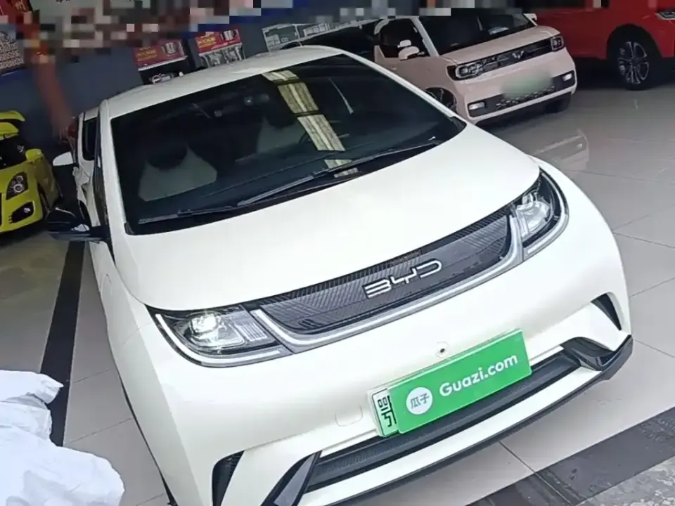 BYD Dolphin
