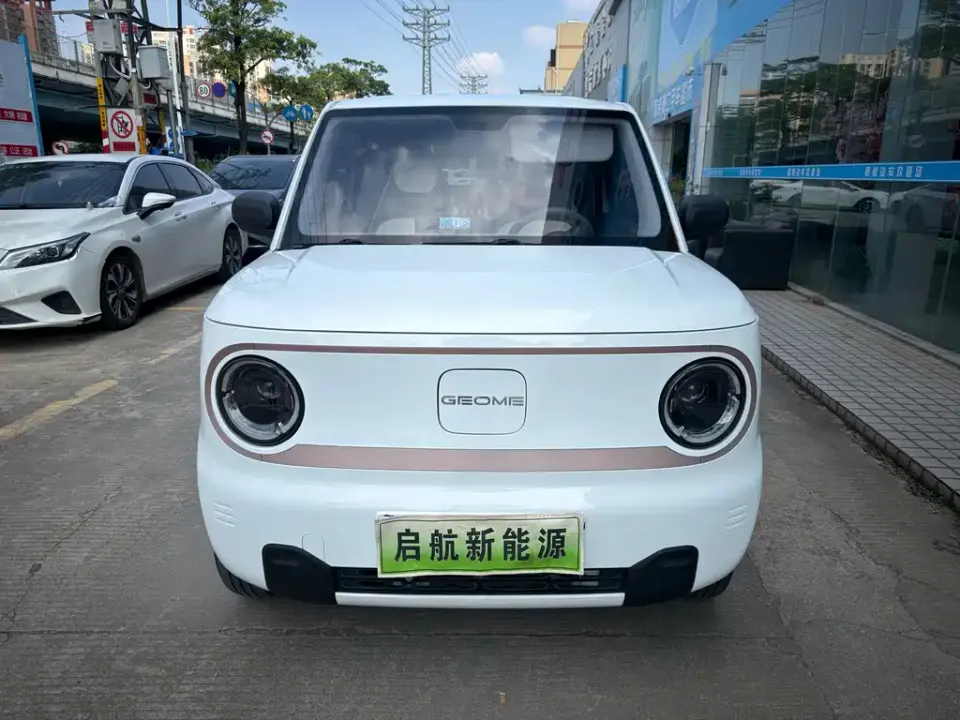 Galaxy Panda