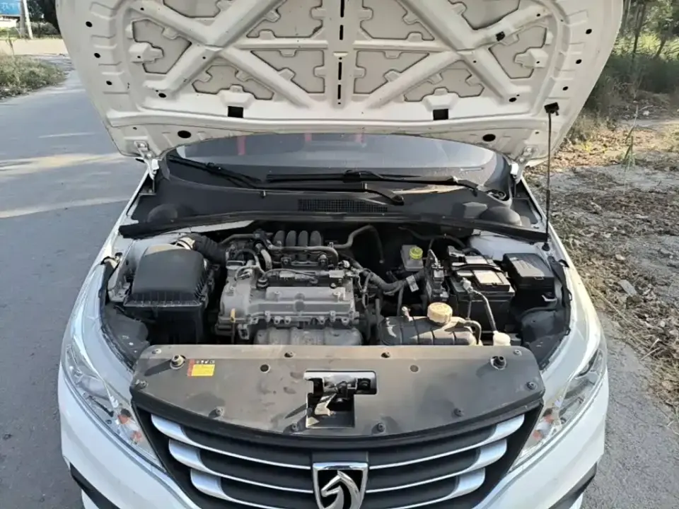 Baojun 310