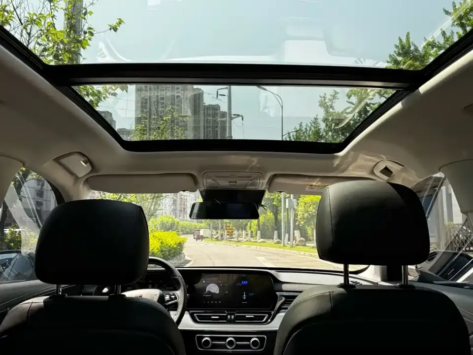 Hongqi Hongqi HS5