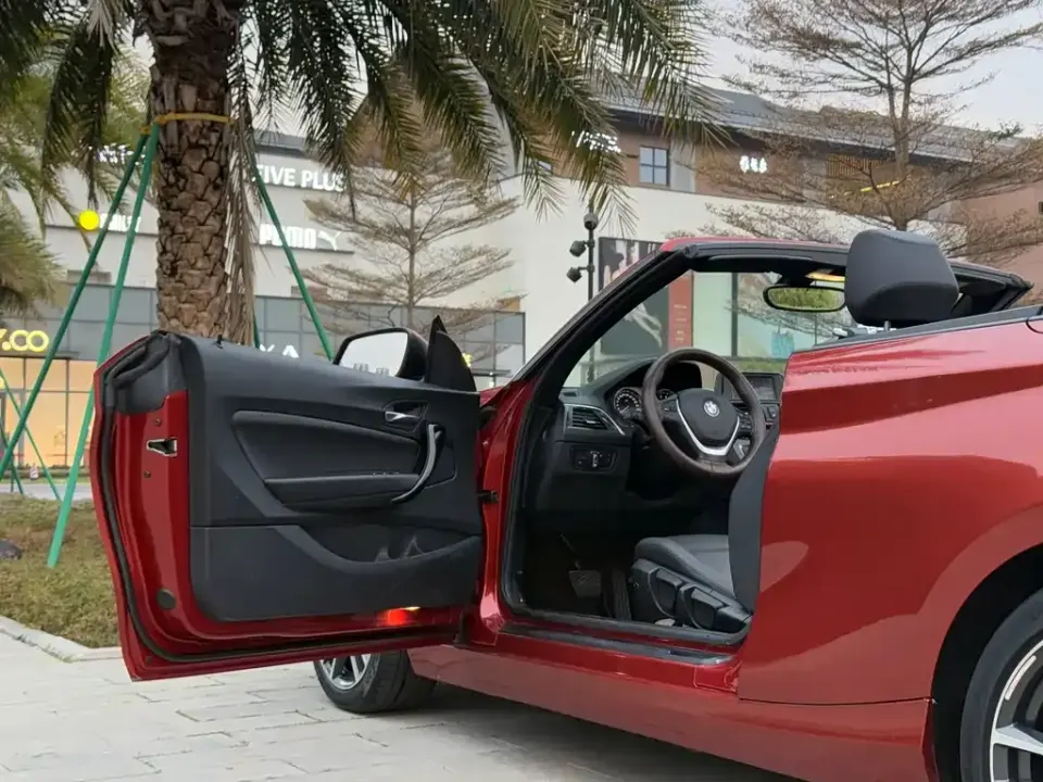 BMW 2 Series (Import)