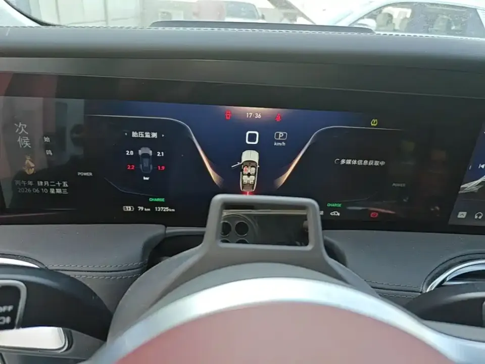 Hongqi Hongqi E-HS9