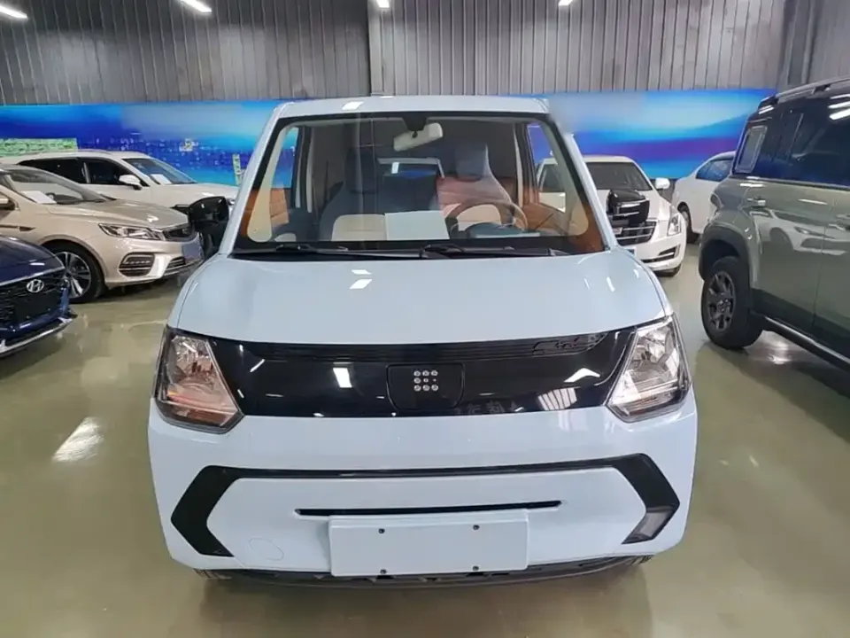 Fengguang Fengguang MINIEV