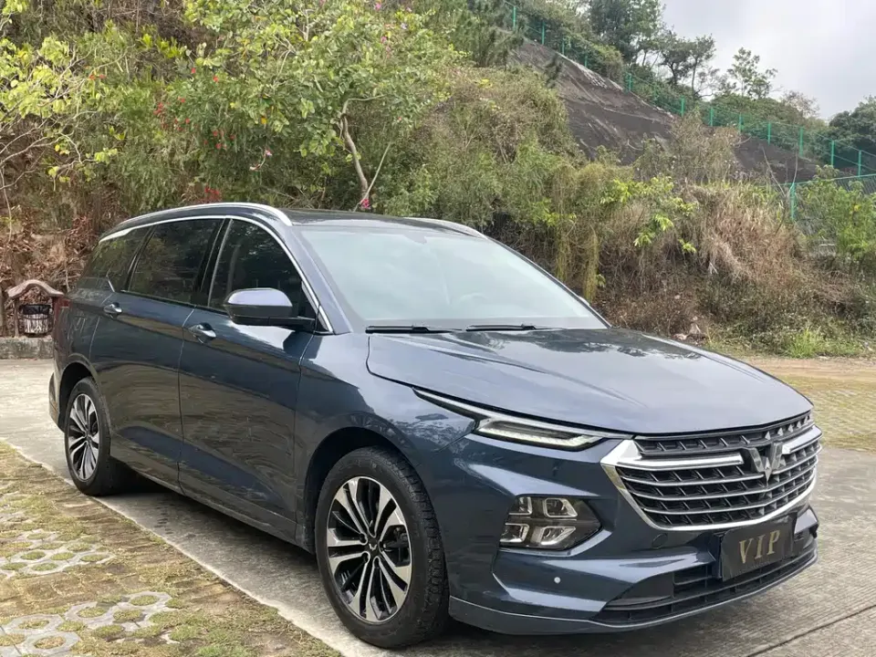 Wuling Victory