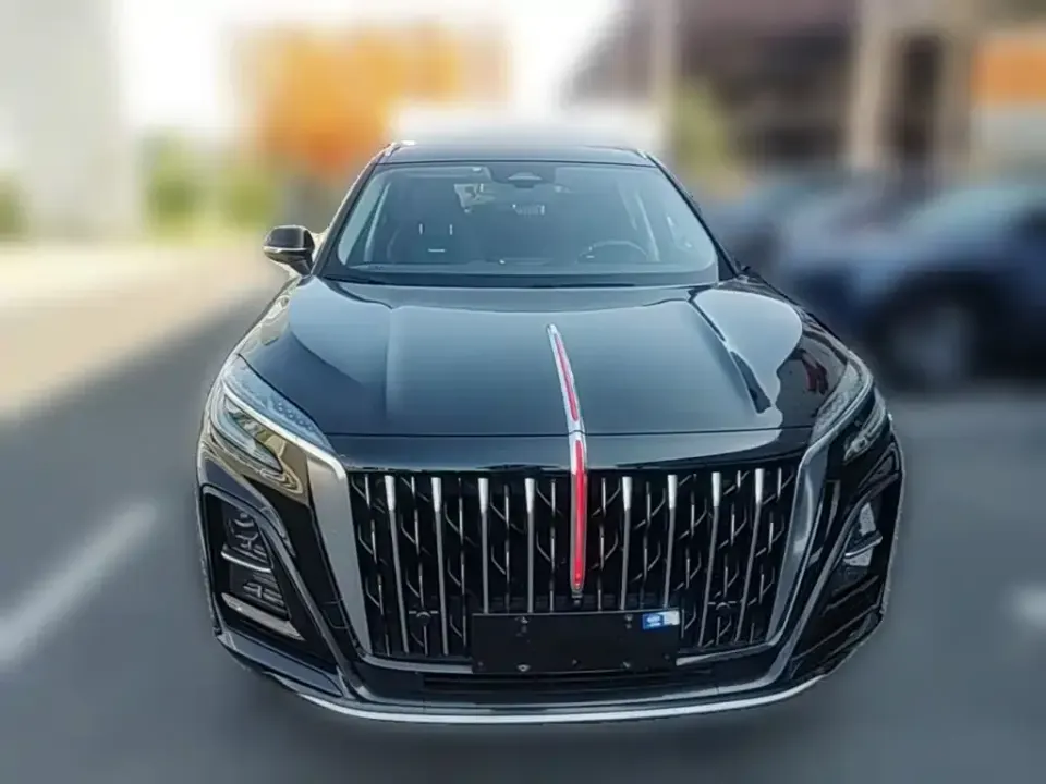 Hongqi Hongqi HS3