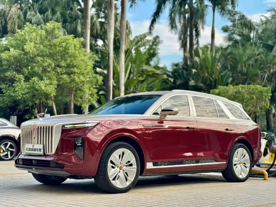 Hongqi Hongqi E-HS9