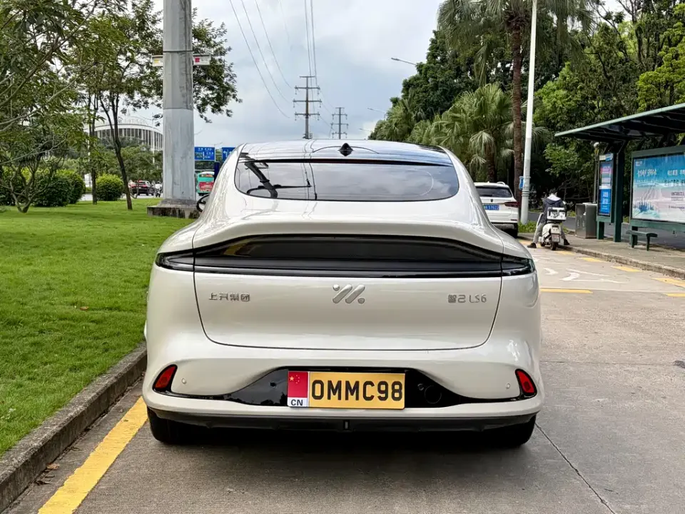 IM Motors IM LS6