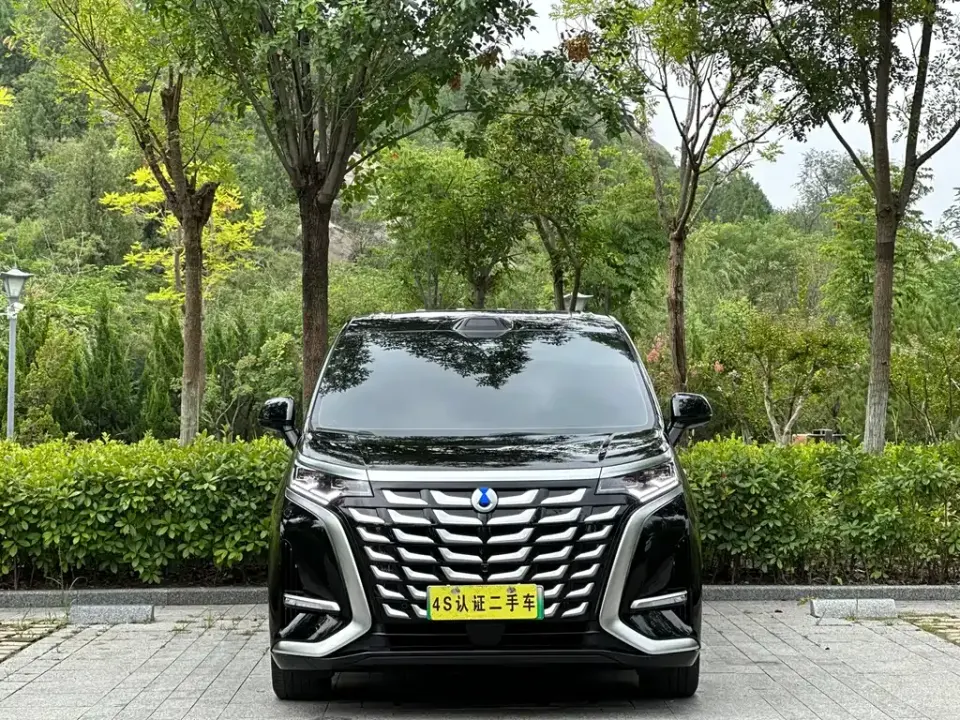 Denza Denza D9