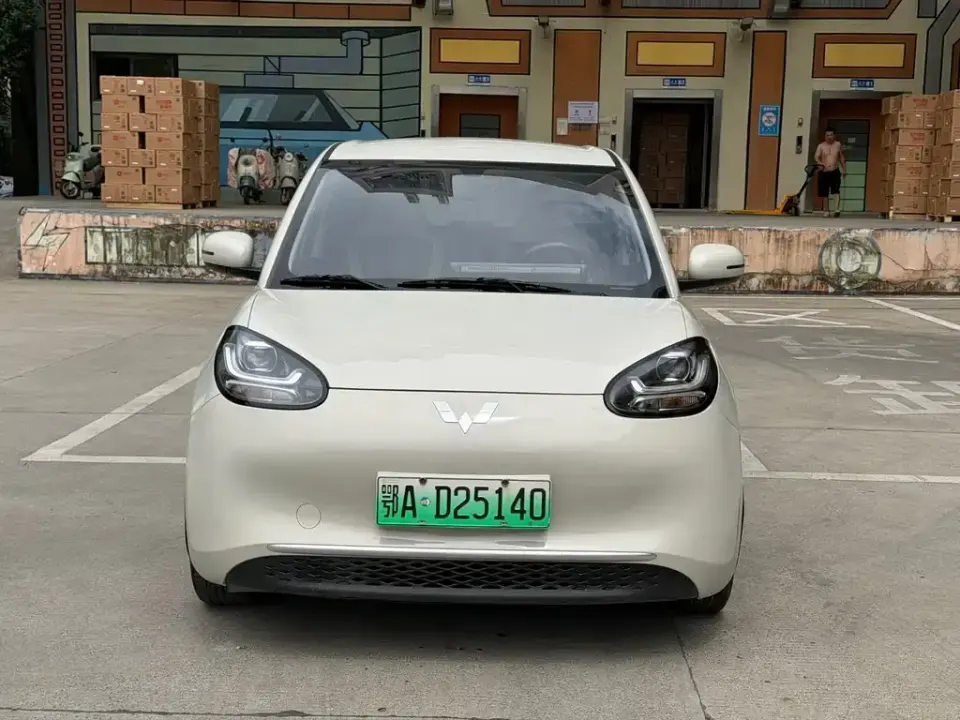 Wuling Bingo