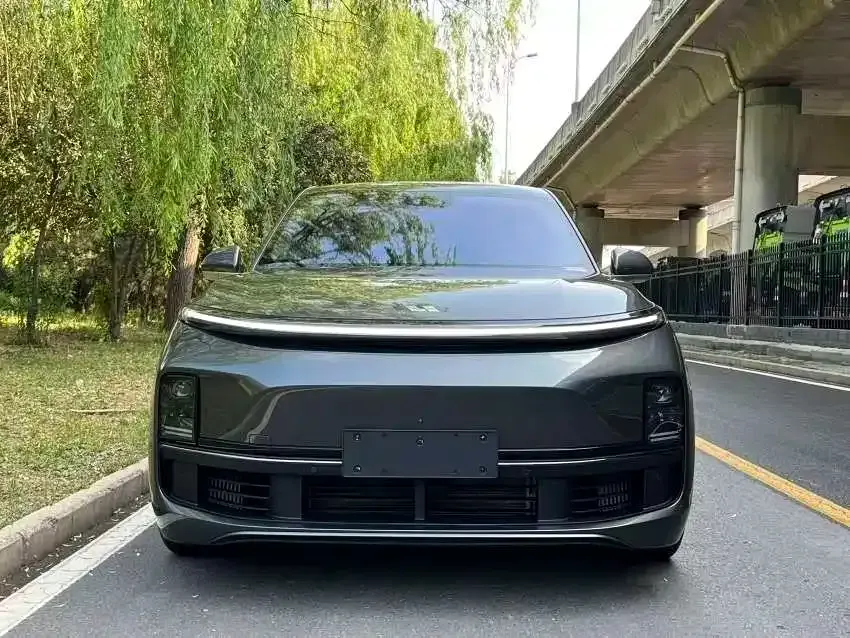 Li Li L8