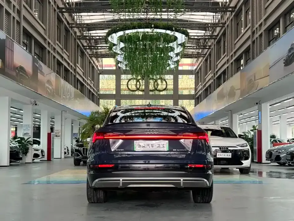 Audi e-tron (Import)
