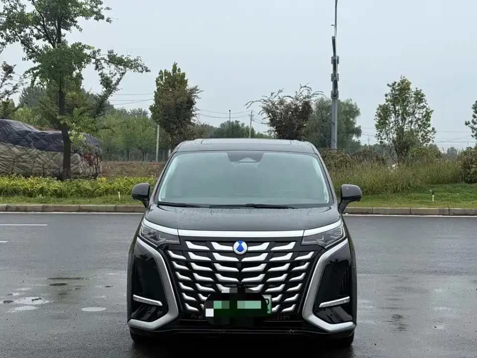 Denza Denza D9