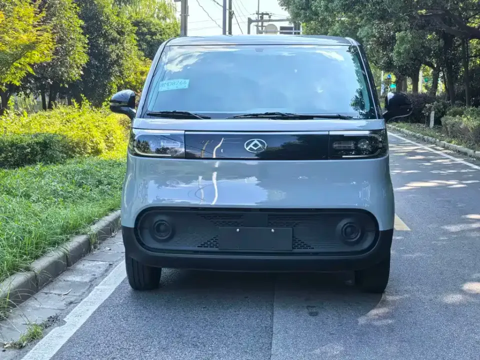 Maxus V1L