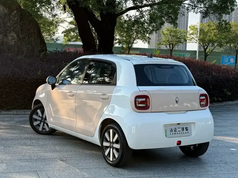 ORA Ora Black Cat