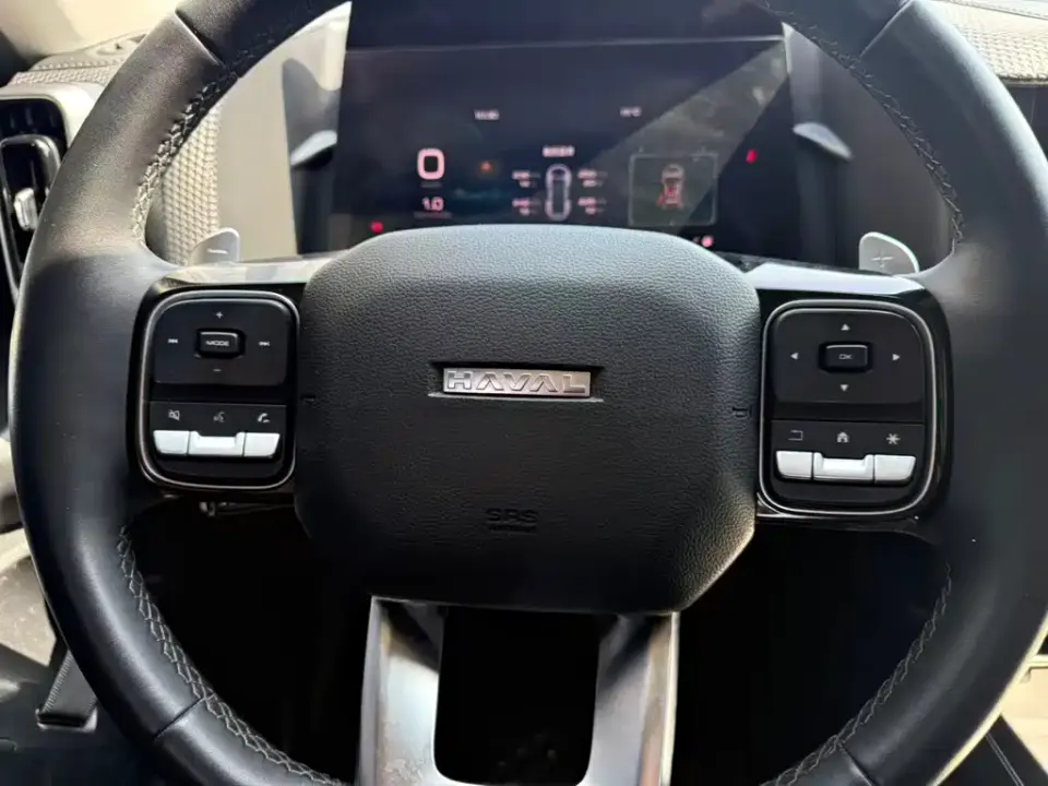 Haval Big Dog