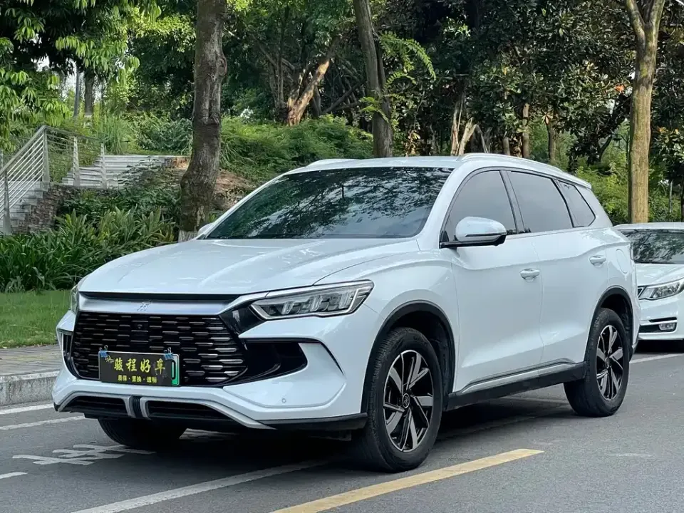 BYD Pro New Energy