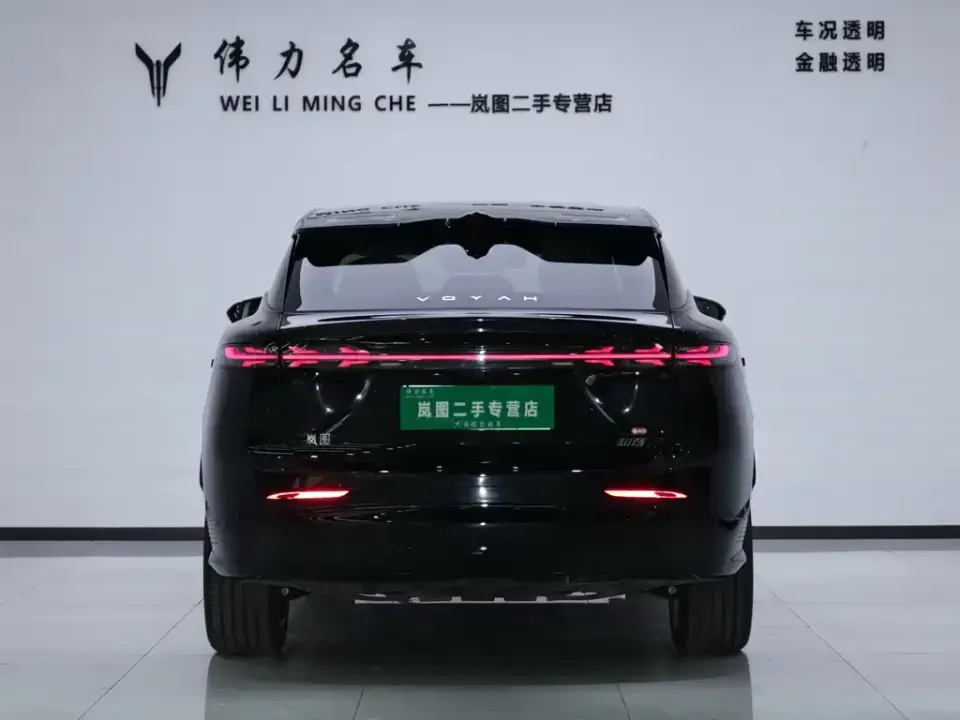 Voyah Zhiyin