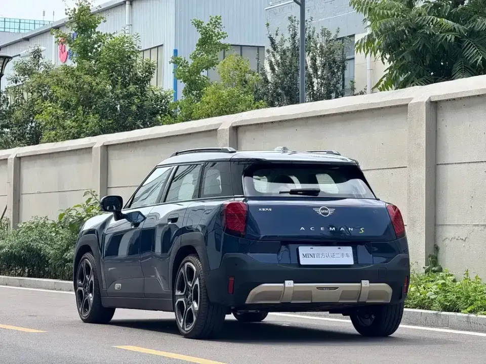 MINI MINI ACEMAN EV