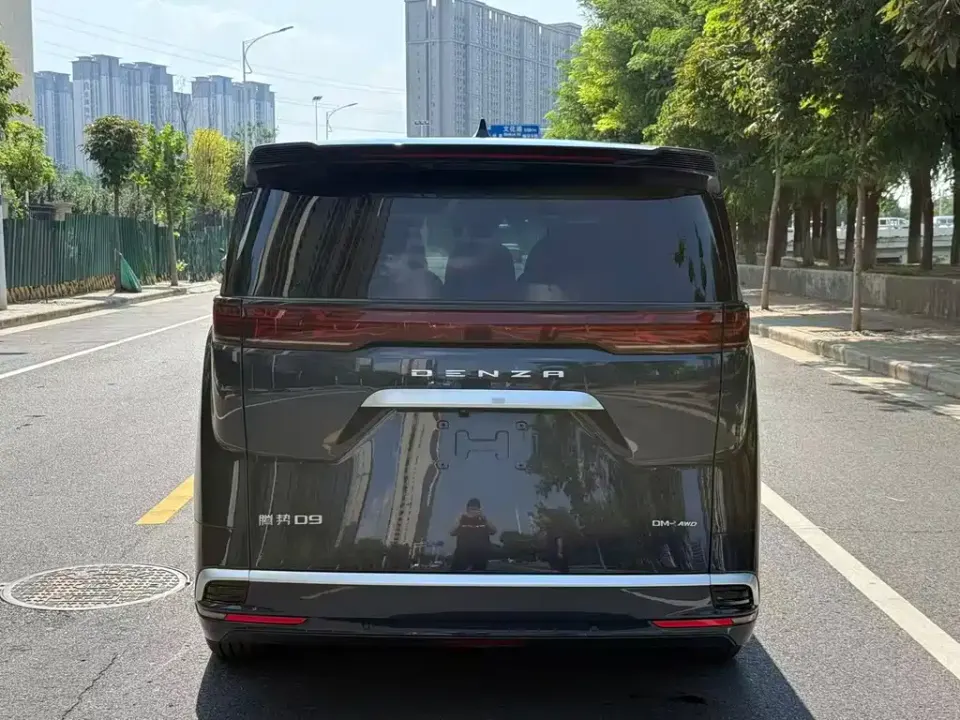 Denza Denza D9