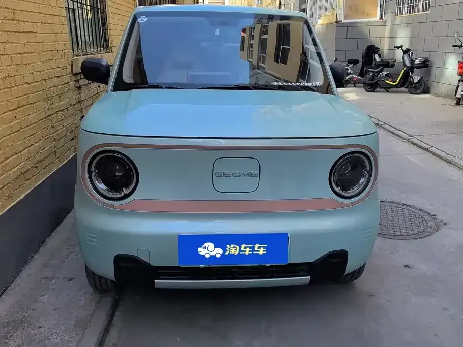 Galaxy Panda