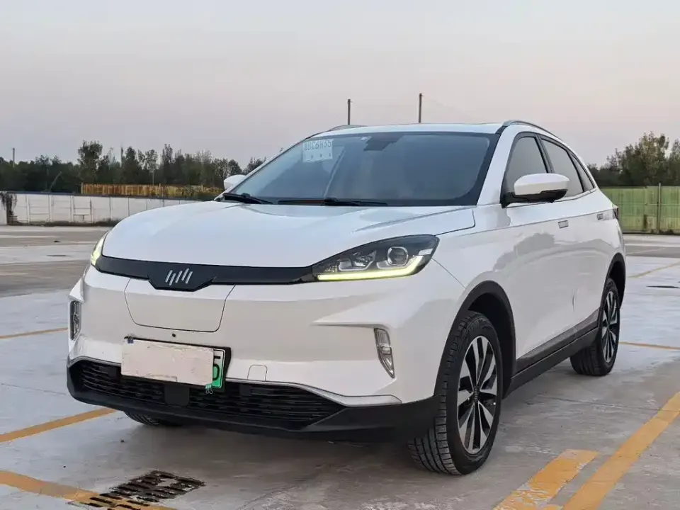 WM Motor EX5
