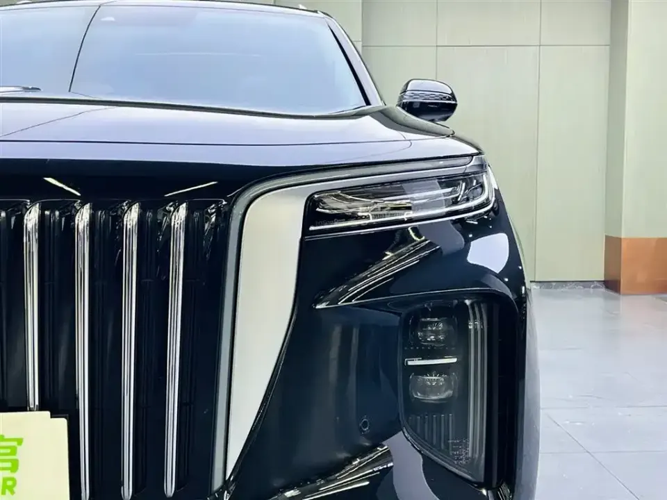 Hongqi Hongqi E-HS9